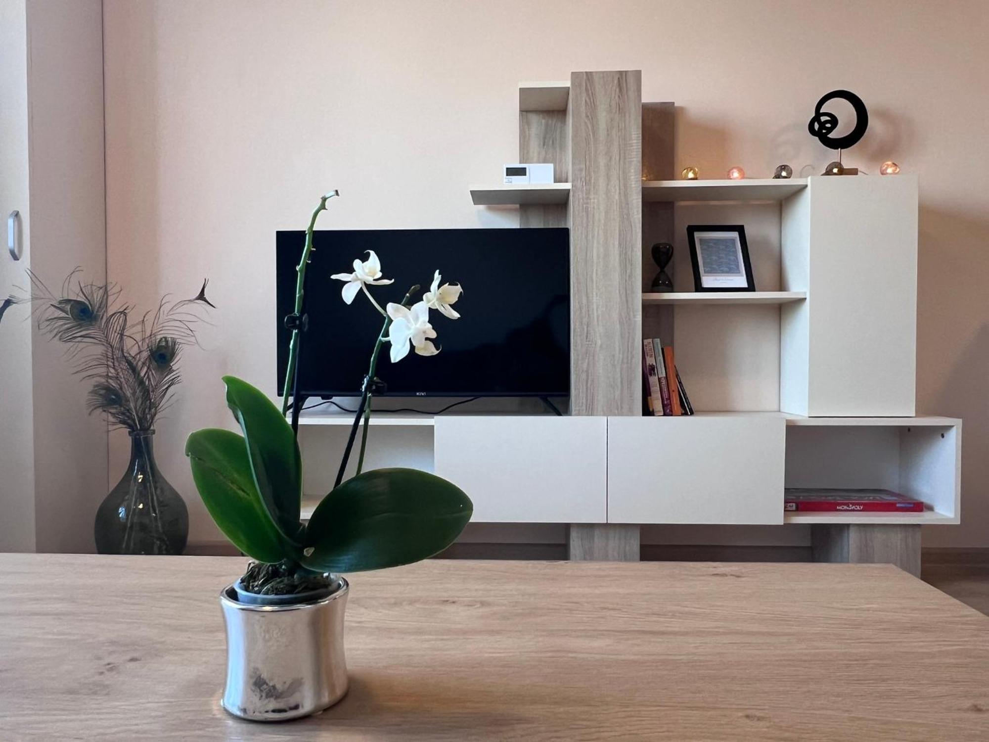 Cappuccino Apartment صوفيا المظهر الخارجي الصورة